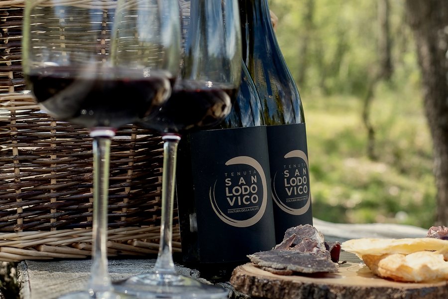 Aperitivo nel bosco, esperienza a Tenuta San Lodovico, Maremma
