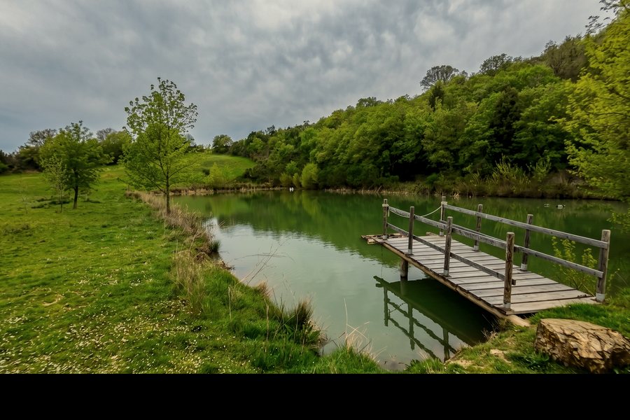 Pesca sportiva al laghetto privato della tenuta, Maremma