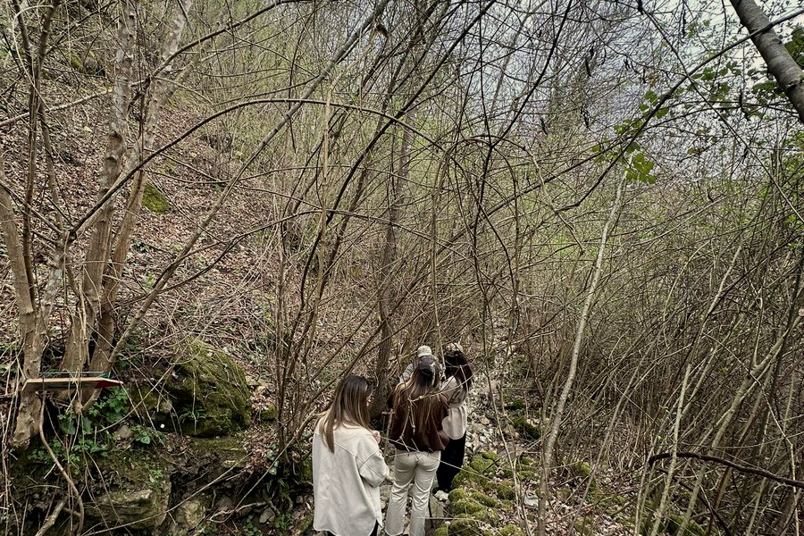 Trekking guidato nel bosco della tenuta, Maremma
