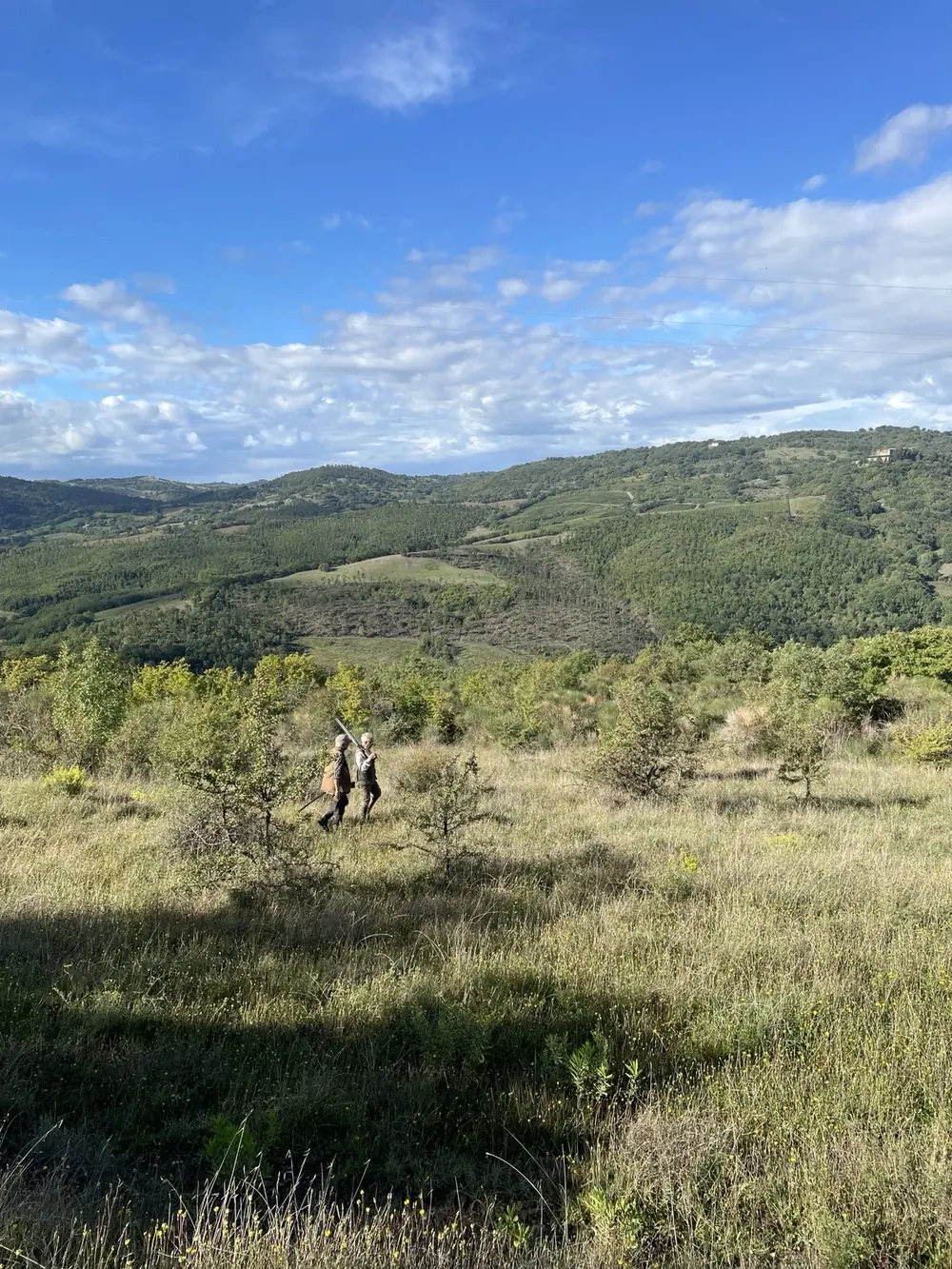 Una radura della Tenuta con vista sulle colline